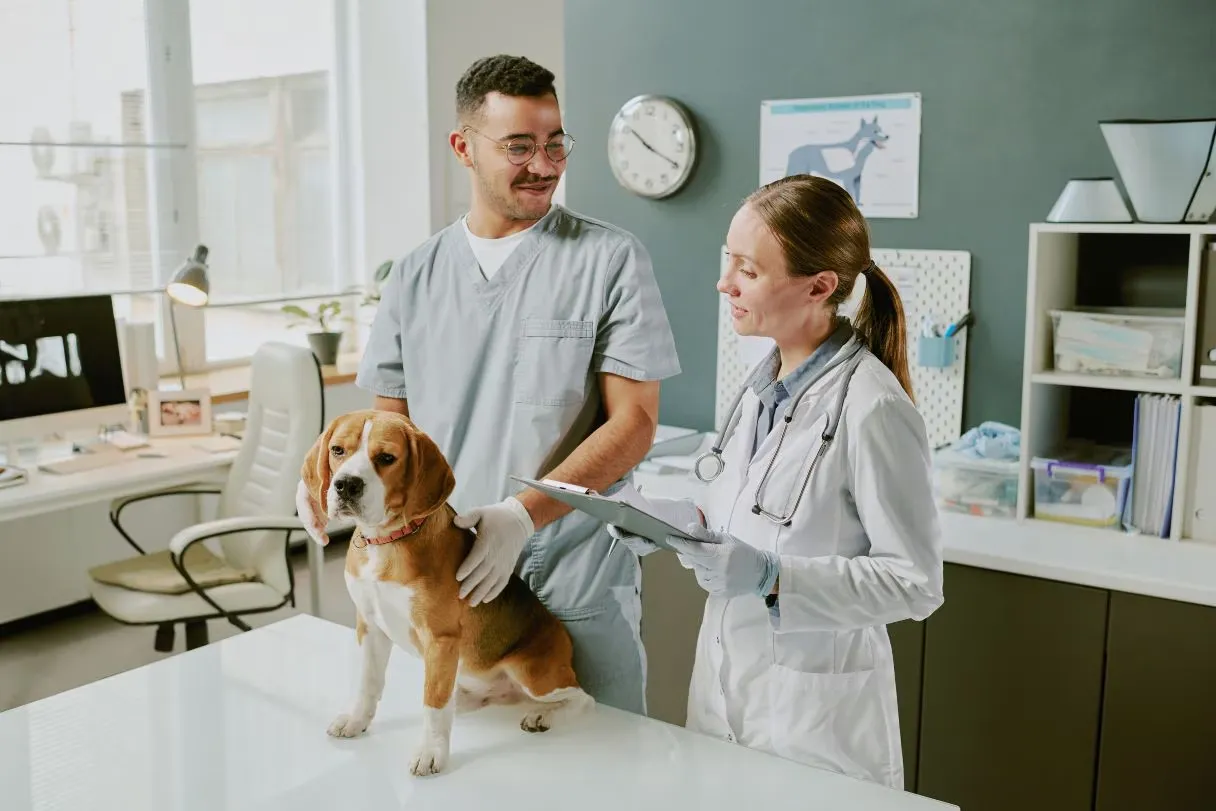 Two veterinary professionals reviewing a chart with a dog